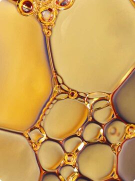 aceite-secc